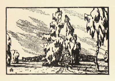 Остроумова-Лебедева Анна. Дорога к белой березе. Из серии &laquo;Павловск&raquo;. 1923 г. Бумага 