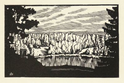 Остроумова-Лебедева Анна. Вокруг пруда. Из серии &laquo;Павловск&raquo;. 1923 г. Бумага, ксилография. 12 