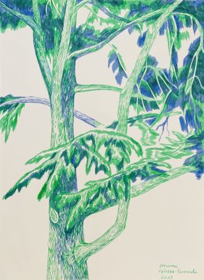 Рудьева-Рязанцева Вероника. Дерево.
2021 г. 
Бумага, фломастер, 47х34,5 см. Работа в хорошем 
