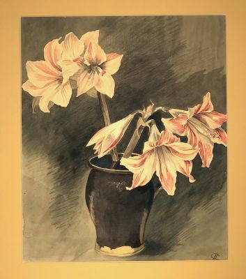 С.Н. Амарилисы в вазе. 1900-30-е (?) гг., бумага, акварель, 31х27 см. Состояние хорошее, в 