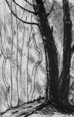 Бубнова Варвара. В лесу.
1940-50-е гг. 
Бумага рисовая, литография, 41,5х29см (лист). Работа в 