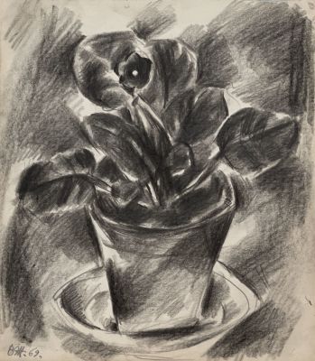 Жуков Владимир. Фиалка. 1969 г. Бумага, карандаш, 23,3х20,4 см (лист). Работа в хорошем 