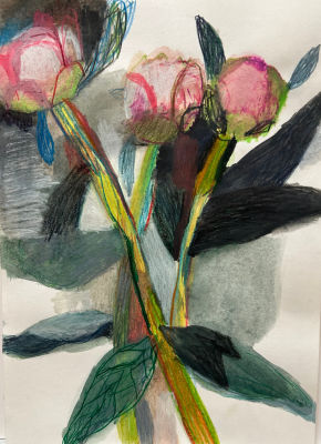 Роон Ирина. Бутоны пионов.
2022 г.
Бумага, смешанная техника, 30х21 см. Хорошая сохранность 
