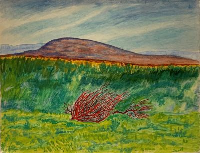 Глебова Татьяна. Яны-Курган. Перекати-поле.
1942-45 гг. 
Бумага, акварель, 31,8х41,3 см. Работа 