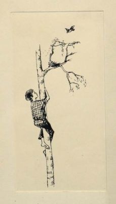 Капусцинский Виктор. Иллюстрация к повести &laquo;С берегов Медведицы&raquo;, М. П. Прилежаевой. Конец 