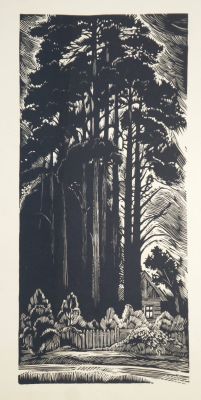 Ковалев Алексей. Сосны. 1963-65 гг. Бумага, линогравюра. 44х20,3 см (лист 61,5х42,5 см). Работа 