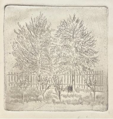 Глебова Татьяна Николаевна (1900 – 1985). Два дерева. 1920-1930-е гг. Бумага, офорт, 13,2х13 см 