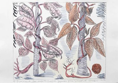 Волосенков Феликс Васильевич (1944-2025). Бразильская фасоль. Серия &laquo;Мое открытие Америки&raquo;. 