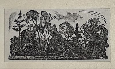 Аверина Вера Ивановна (1907-1971). Этюд Ботанического сада. 1920-е гг. Калька, ксилография. 4 