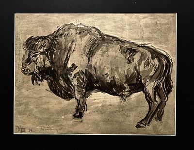 Володимиров Николай Николаевич (1910-2006). &laquo;Бизон&raquo;. 1934 г. Бумага, тушь, кисть 32,5х43 см. Раб 