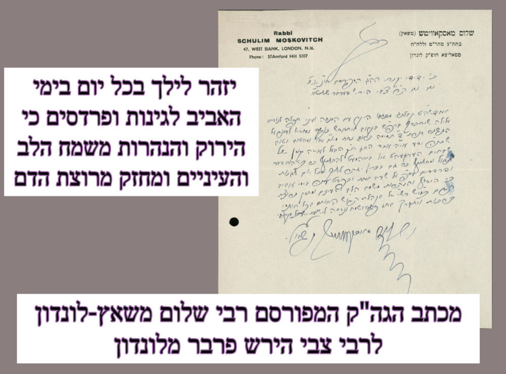 "יזהר לילך בכל יום בימי האביב לגינות ופרדסים כי הירוק והנהרות משמח הלב והעיניים ומחזק מרוצת 