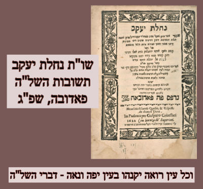 " וכל עין רואה יקנהו בעין יפה ונאה."-דברי השל"ה הקדוש. ספר שו"ת 'נחלת יעקב', תשובות השל"ה 
