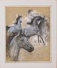 ** Lucien Levy-Dhurmer 
1865-1953 (French) 
Horses, 1896 
pastel on paper 
55x45 cm 
signed Image - 1