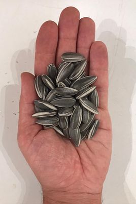 Ai Weiwei b.1957 (Chinese) 20 porcelain sunflower seeds, 2010 Provenance: Bought directly from