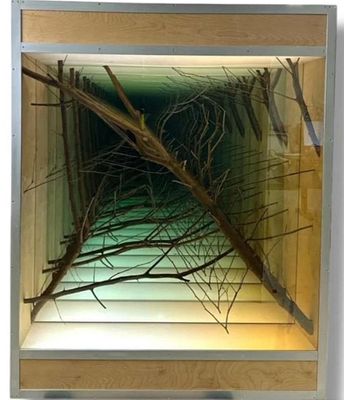 ** Chul Hyun Ahn - ** Chul Hyun Ahn b.1971 (Korean) Crawling (Forest Scene) light box construction 