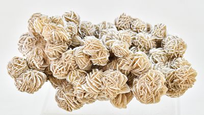 CLUSTER OF "DESERT ROSE" ROSETTE SELENITE CRYSTALS. A cluster of "desert rose" rosette selenite 