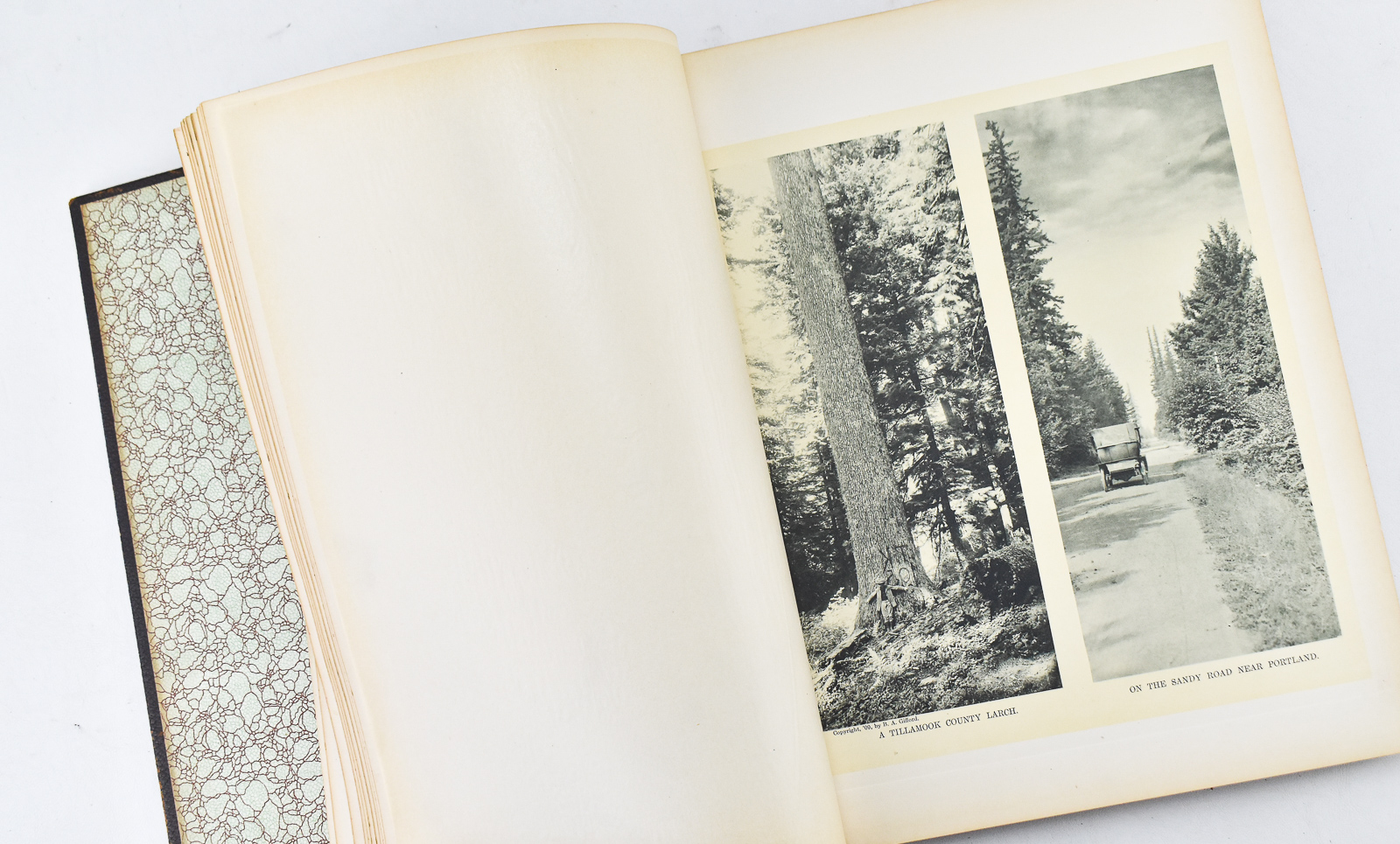 1909 W.D. HARNEY PHOTOGRAVURE COMPANY "ART OF THE STATE OF OREGON"