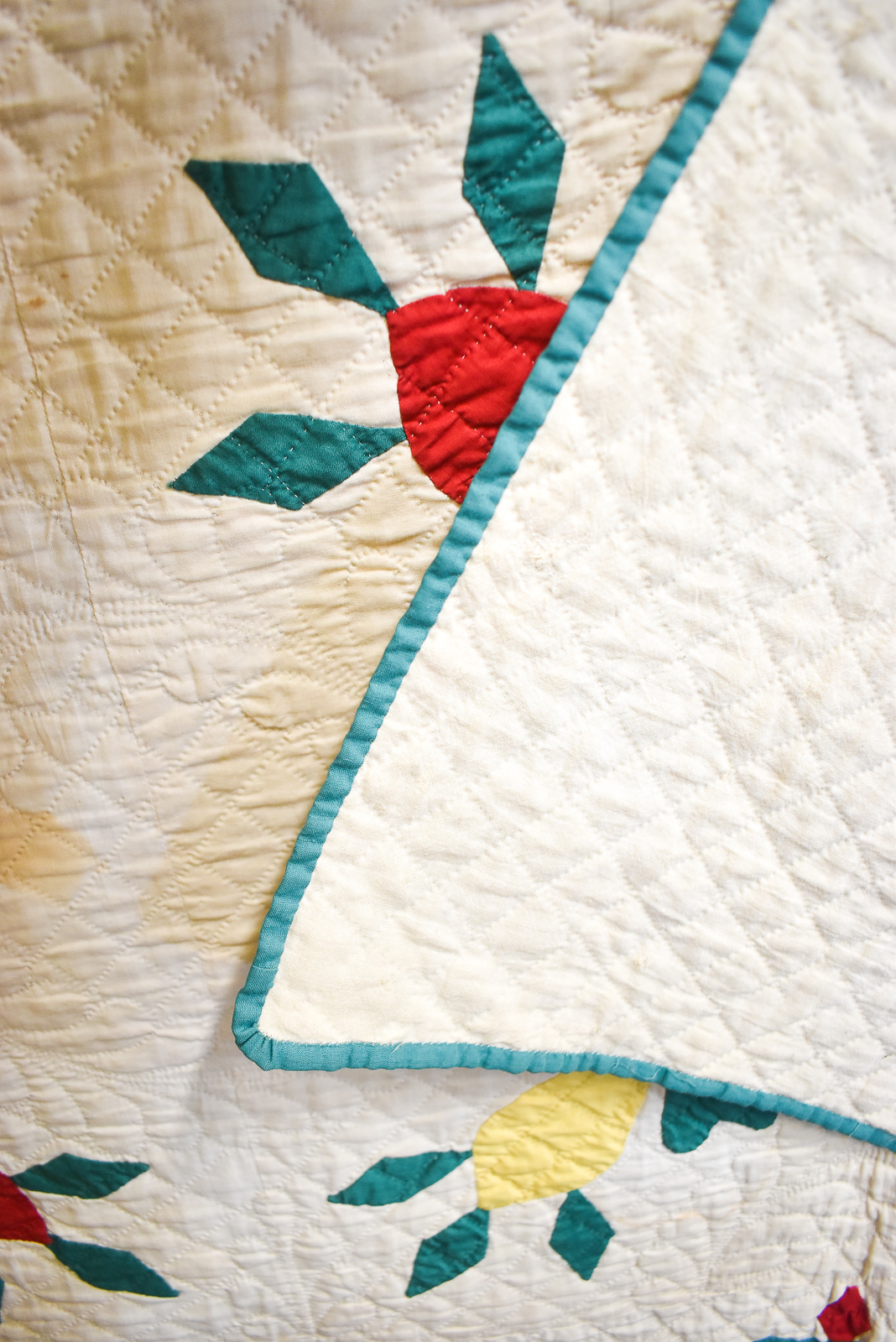 "FLOWERING ALMOND" TWELVE BLOCK APPLIQUE QUILT