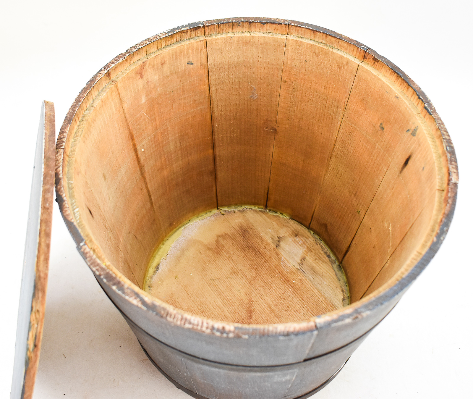 BLUE STAVE PLANT BUCKET