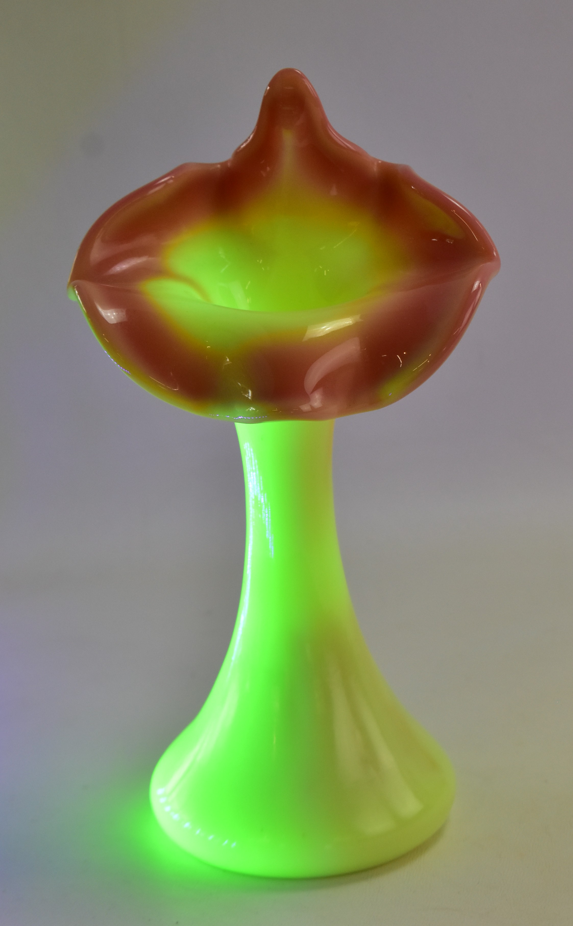 FENTON BURMESE JACK-IN-THE-PULPIT URANIUM CUSTARD GLASS VASE