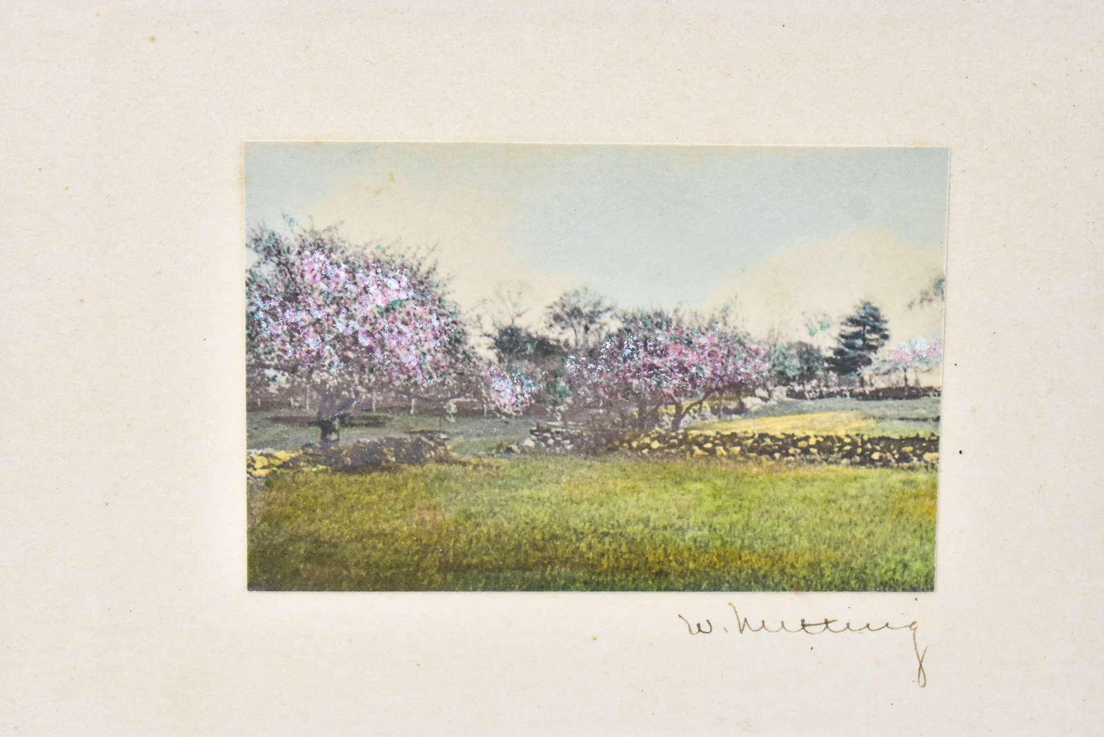 TRIO OF WALLANCE NUTTING FRAME PHOTOGRAPHS