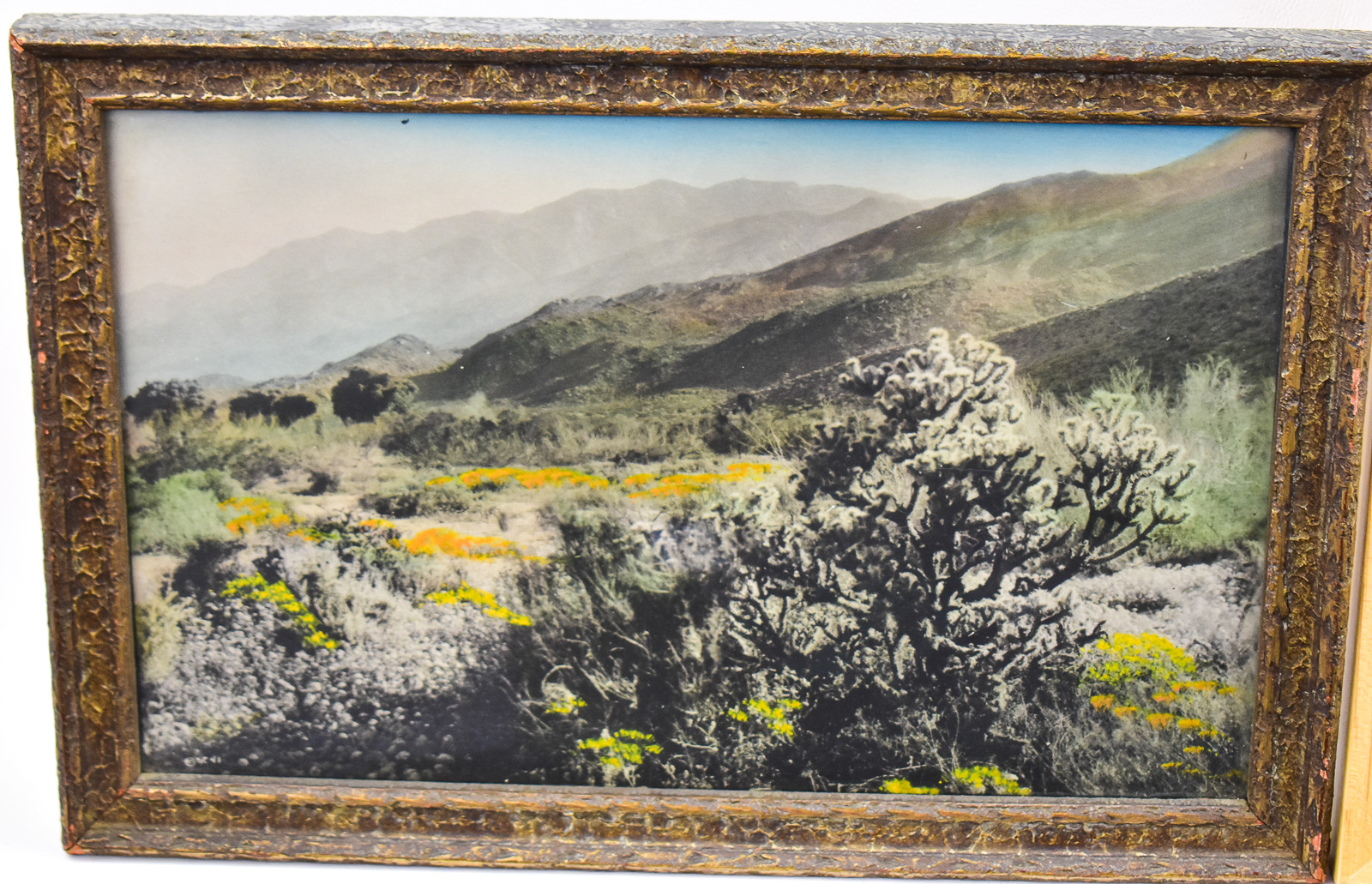 TRIO OF FRAMED LANDSCAPE PHOTOGRAPHS