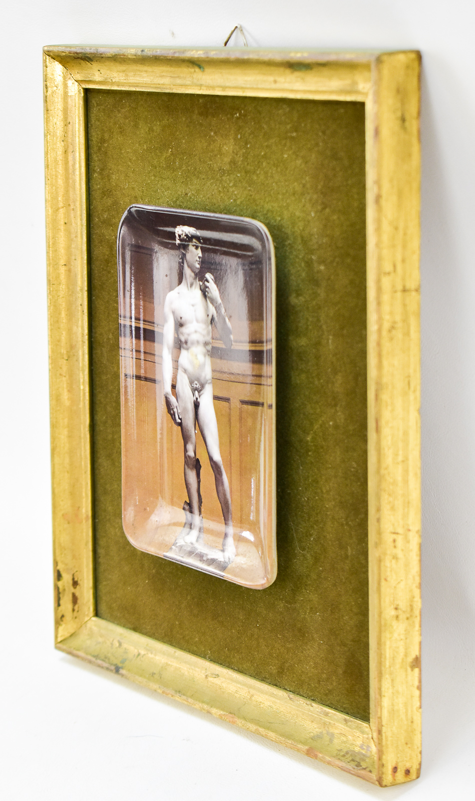 "TRICHOPILIA MARGINATA" C.T ROSENBERG ZINCOGRAPH & MICHELANGELO'S DAVID PLATE WALL ART