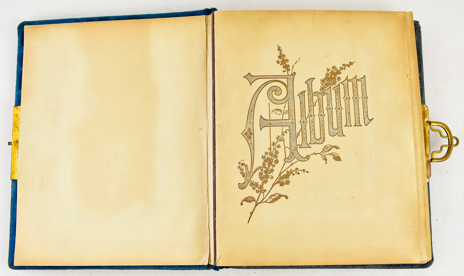 ALBUM OF CARTE DE VISTES &TIN TYPES