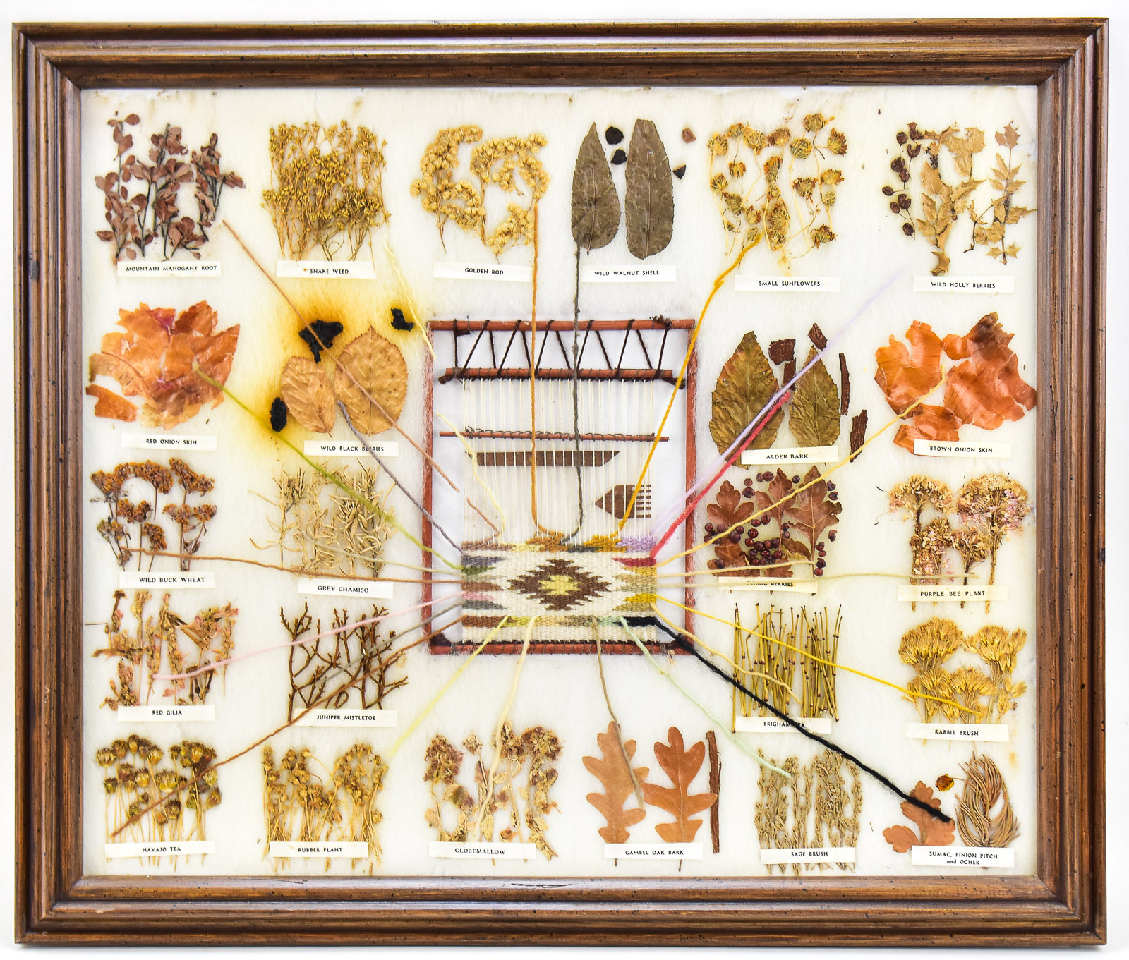 FRAMED DINE (NAVAJO) EDUCATIONAL VEGETABLE DYE CHART