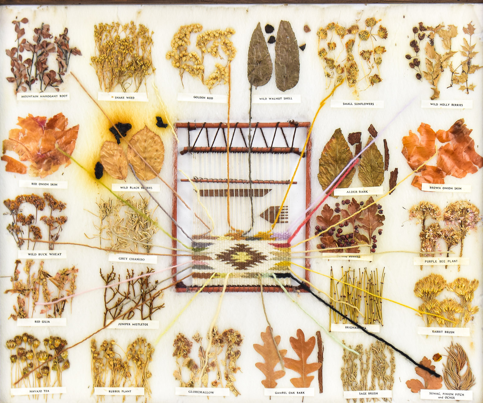 FRAMED DINE (NAVAJO) EDUCATIONAL VEGETABLE DYE CHART