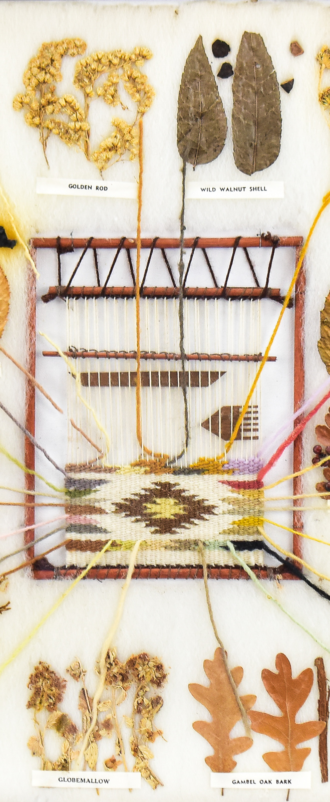 FRAMED DINE (NAVAJO) EDUCATIONAL VEGETABLE DYE CHART