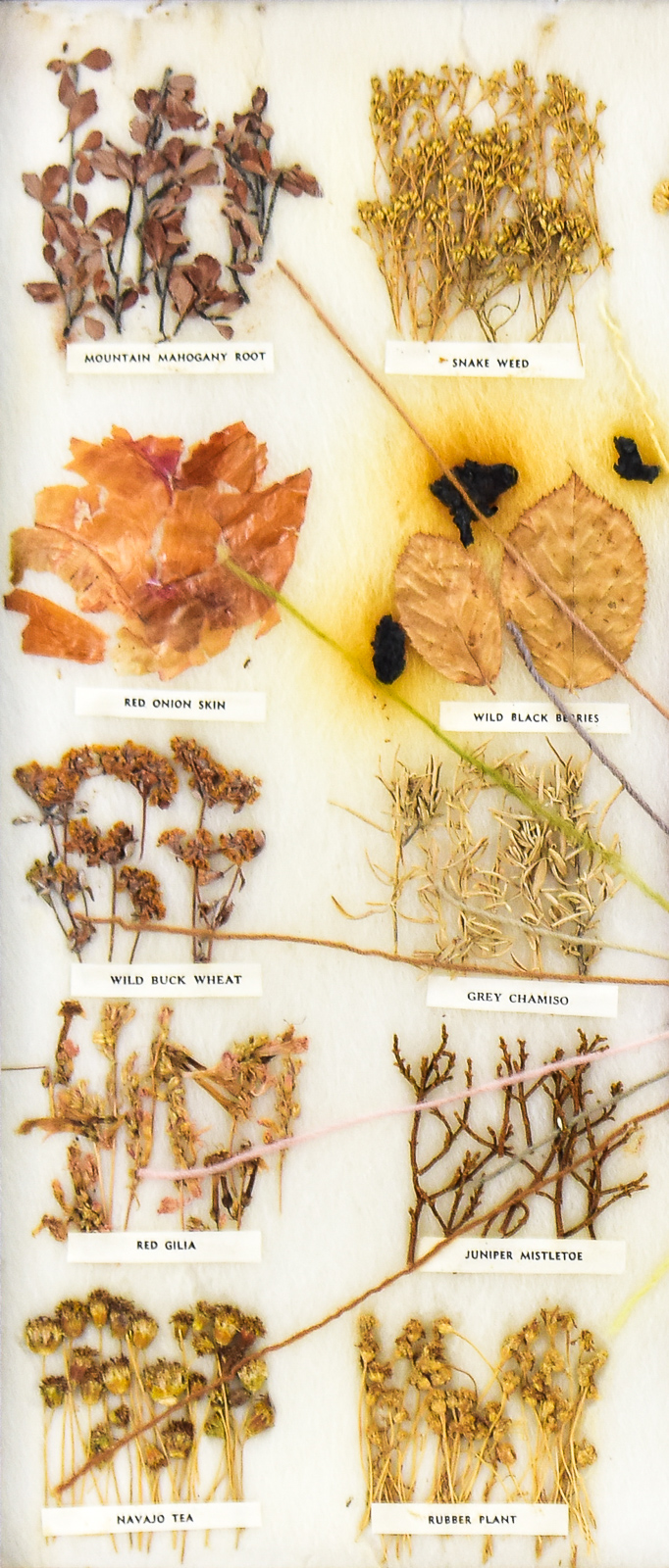 FRAMED DINE (NAVAJO) EDUCATIONAL VEGETABLE DYE CHART