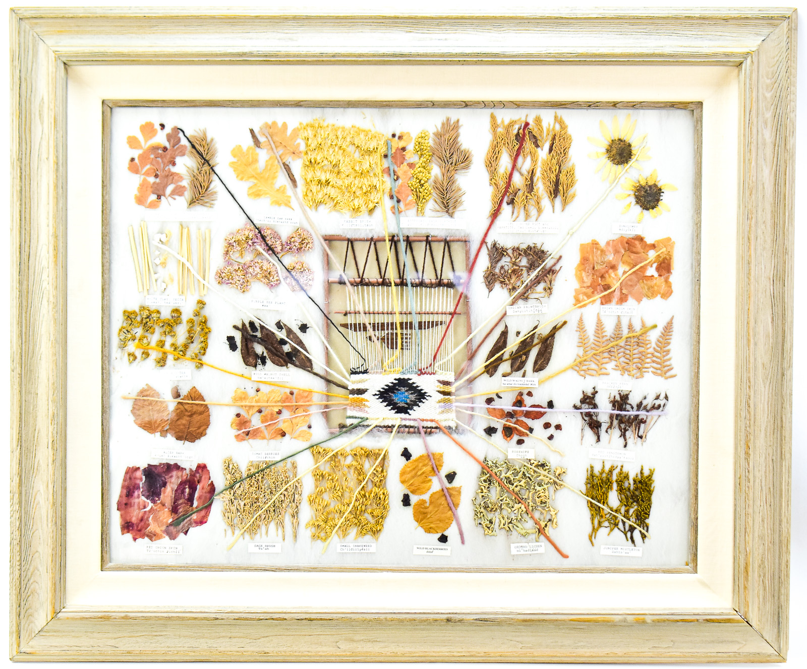 FRAMED DINE (NAVAJO) EDUCATIONAL VEGETABLE DYE CHART