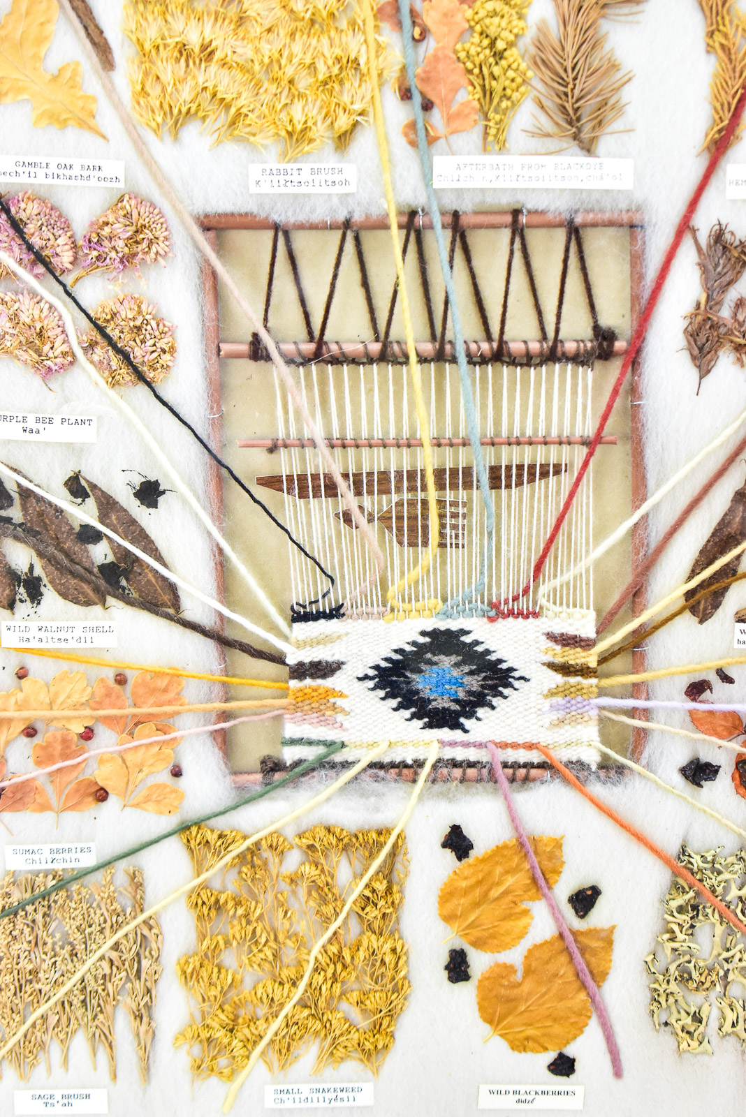 FRAMED DINE (NAVAJO) EDUCATIONAL VEGETABLE DYE CHART