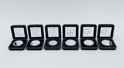A varied collection of Dutch (commemorative) coins, largely in silver, with historical and 