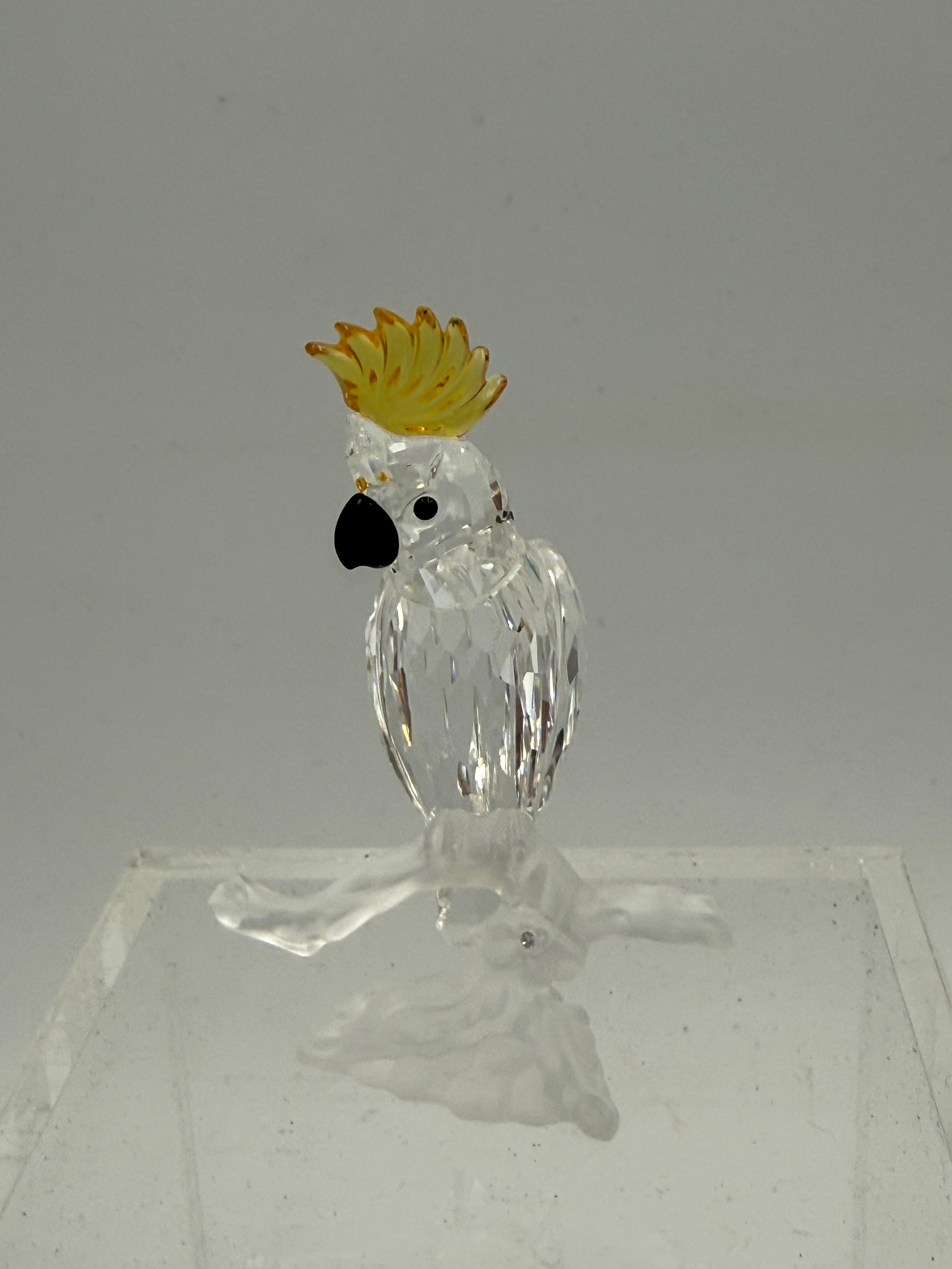 Lot 21