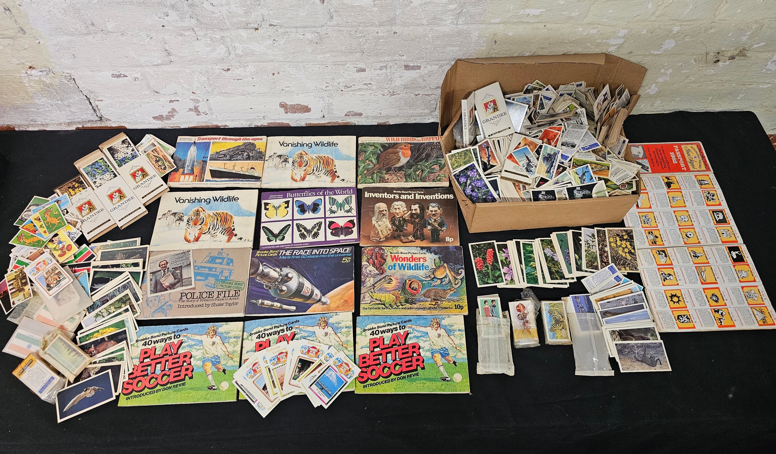 Lot 295