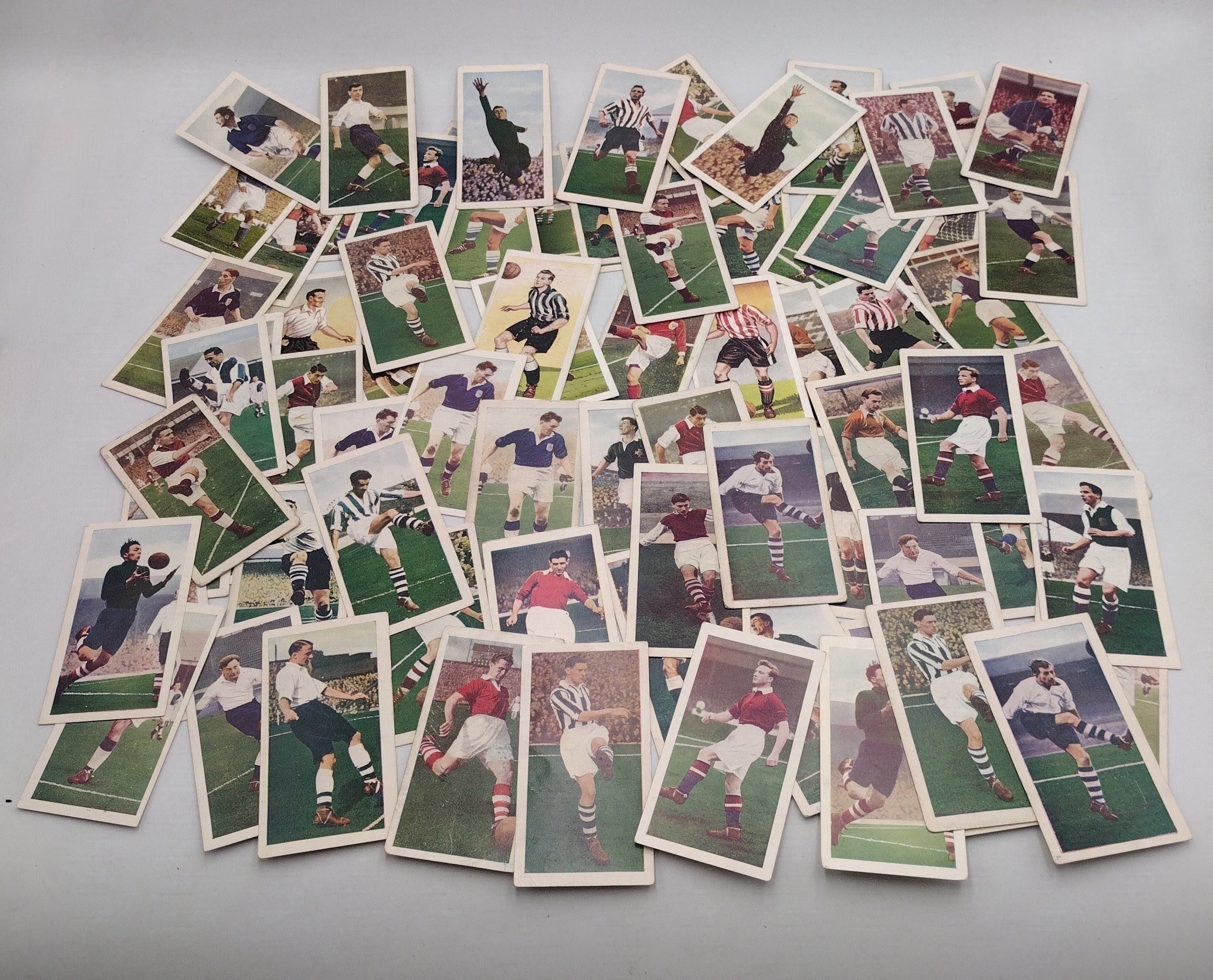 Lot 135
