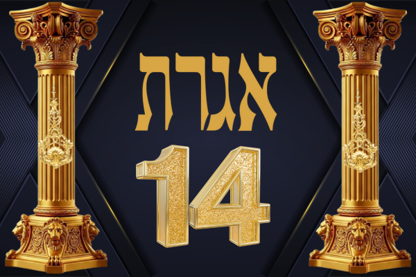 IGGERES | IGGERES 14