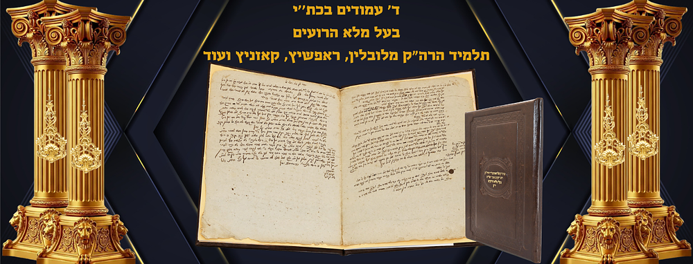 ד' עמודים בכתב יד קודש הרה"ק בעל מלא הרועים תלמיד הרה"ק מלובלין, ראפשיץ, קאזניץ ועוד
מצורף 