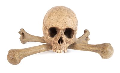 Memento Moriwohl 18. Jh., Holz geschnitzt, gestuckt und farbig gefasst, menschlicher Schädel 