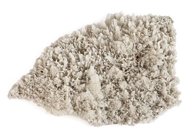 Große Quarzstufeauf einer Seite vollständig belegt mit bis zu ca. 5 cm langen Kristallen 