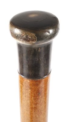Spazierstock Horn. Spazierstock Horn um 1920, gedrungener Knauf aus dunklem Horn in schlichter 