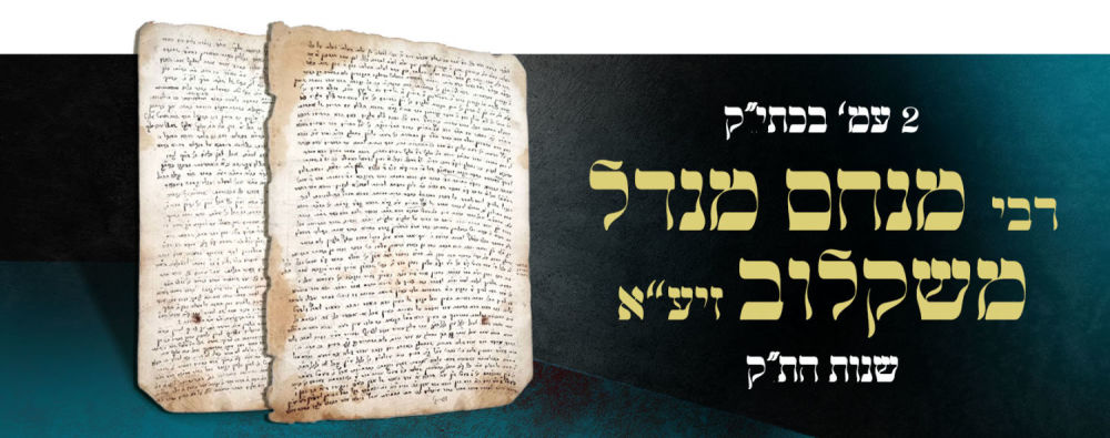 Two large pages in the secrets of the Torah and Shabbos Kodesh and more handwritten by Rabbi 