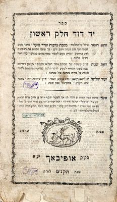 עותק הרה"ק רבי שמואל אהרן ראבין, יד דוד, מהדו"ר בחיי המחבר - אופיבאך, תקנ''ט | 1799.
. חידושים 