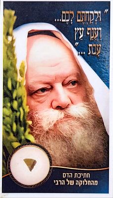 "ולקחתם לכם... ענף עץ עבות" עלה הדס מהרבי שנות המ"ם. כרטיס מהודר לברכה והצלחה, עם עלה הדס מחלוקת 