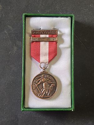 EMERGENCY SERVICE MEDAL