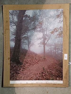 "THE FOREST" WALL ART BY D.D.A.N.I.E.L.