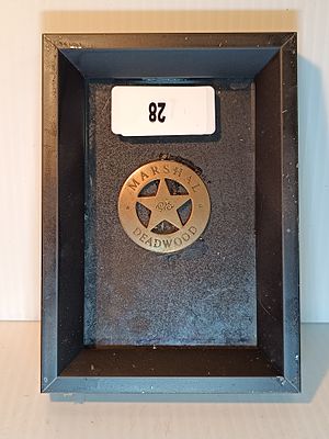 FRAMED "MARSHAL DEADWOOD" CIVIL WAR REGIMENTAL BADGE -AS SEEN