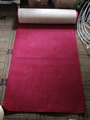 A Modern Red Solid Washable Runner Rug
